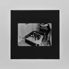 woman in black and white dress sitting on black and white chair related to Elevate Your Space with Bed Bath & Beyond Frames