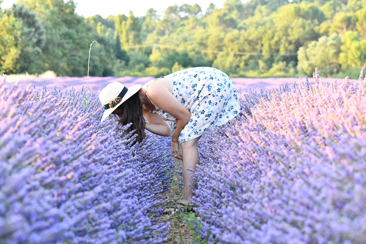 woman in blue and white floral dress standing on purple flower field during daytime related to Lavender Valances: Adding a Touch of Calm to Your Windows