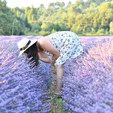 woman in blue and white floral dress standing on purple flower field during daytime related to Lavender Valances: Adding a Touch of Calm to Your Windows