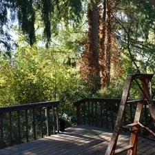 Wooden deck surrounded by lush green trees and foliage. related to Unlocking the Charm of Outdoor Living with Blue Rooster Prairie Chiminea