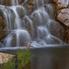 Yunnan Garden in NTU campus, singapore related to Flowing Elegance: The Allure of Waterfall Valance Curtains
